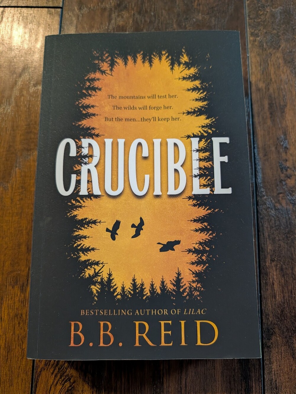 NWT Crucible by B.B. Reid Paperback Edition With Sprayed Edges-Boys Of The Wild